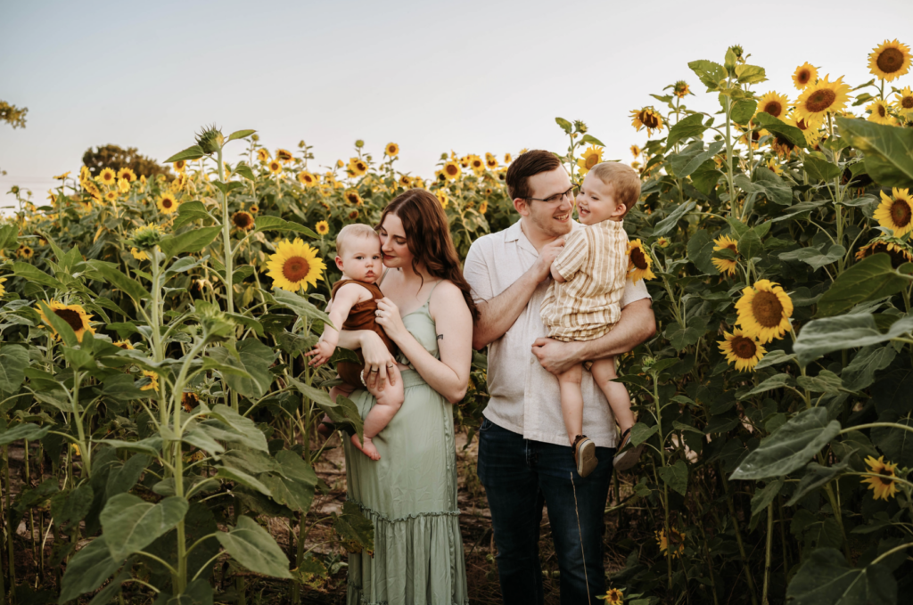 sunflower family photos in Ft Worth, Argyle, Saginaw